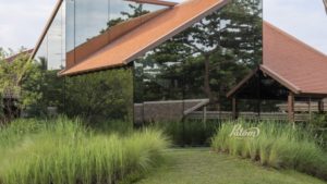 Patom Organic Farm ฟาร์มออร์แกนิกจากใจเกษตรกร สู่ใจผู้บริโภค