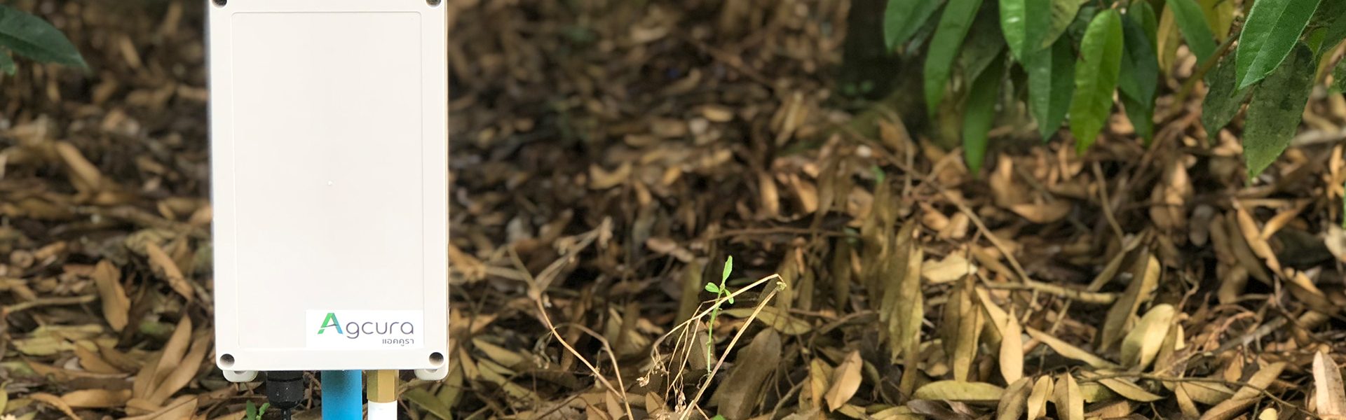 AGCURA นวัตกรรมดิจิทัล สู่โซลูชันเพื่อเกษตรกรไทย