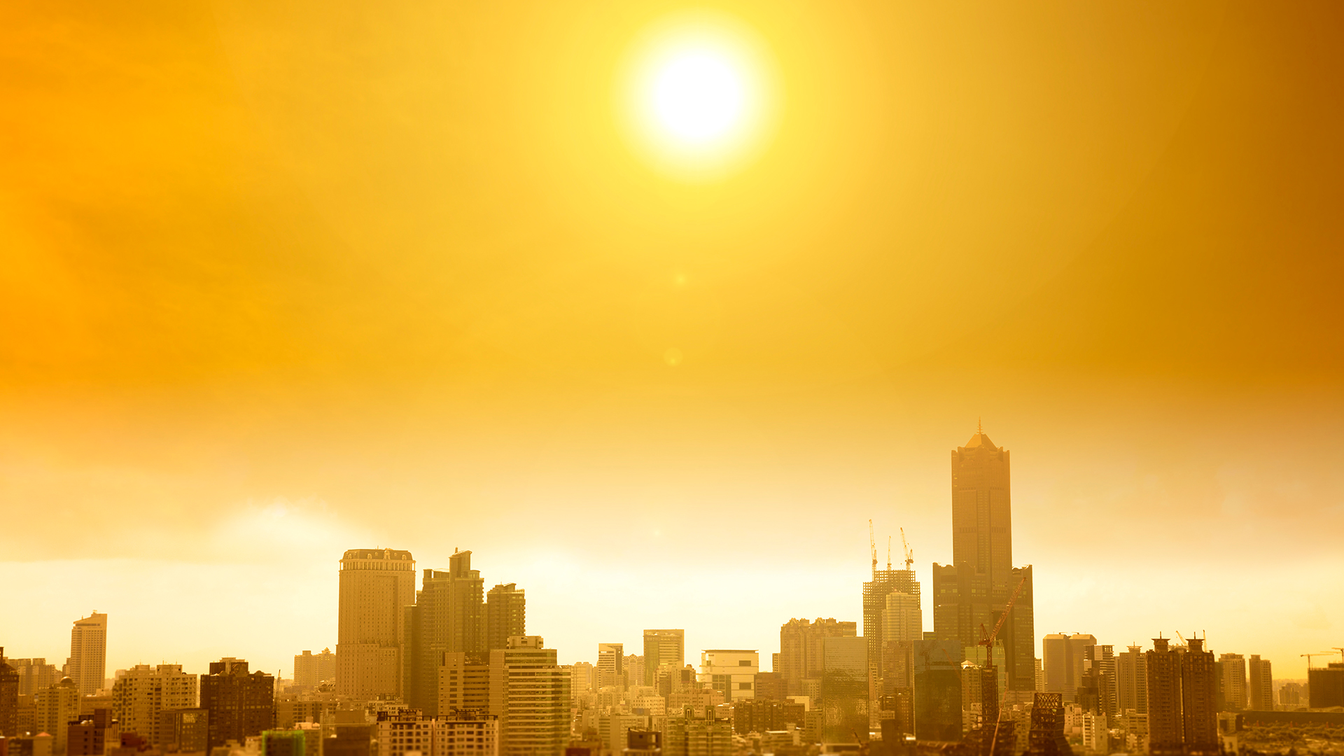Climate Emergency วิกฤตโลกร้อน เรื่องเร่งด่วนที่มนุษย์ต้องร่วมกันหยุดยั้ง